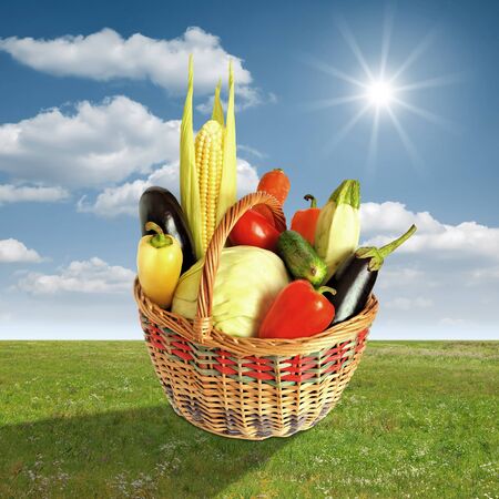 Basket for picnic with vegetables on grassの写真素材