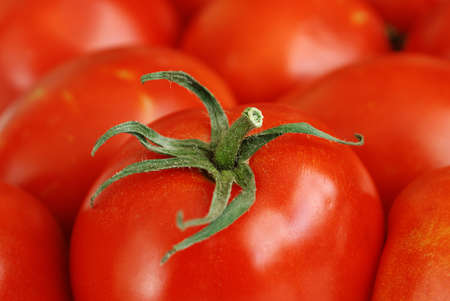 tomato with green leaves closeupの写真素材