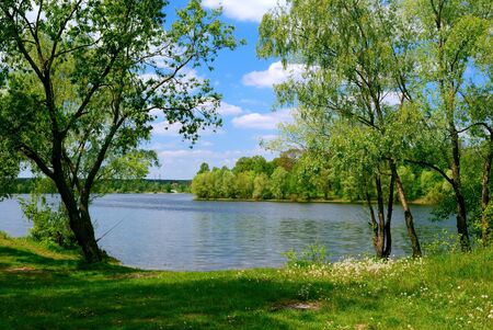lake and green trees near the water in spring timeの写真素材