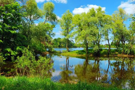 green trees and reflection in the waterの写真素材