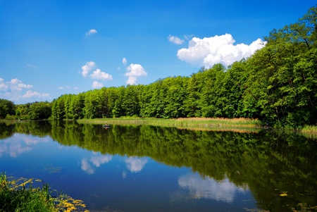 Range of trees on sky background and reflection in water of river. Summer landscapeの写真素材