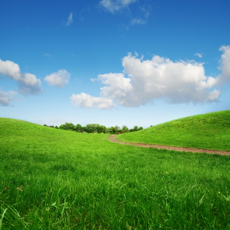 grassy green hills and lane to remote trees on blue sky backgroundの写真素材
