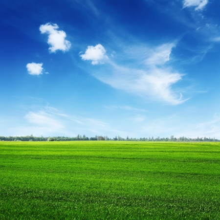 green spring field and clouds on blue sky, rural landscape with trees on horizonの写真素材