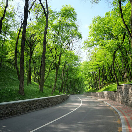 empty curved road between the green trees in parkの写真素材