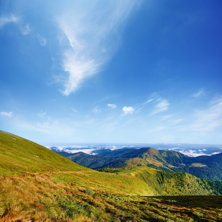 Mountain landscape in summer day. Blue sky with white clouds above green Carpathian hillsの写真素材