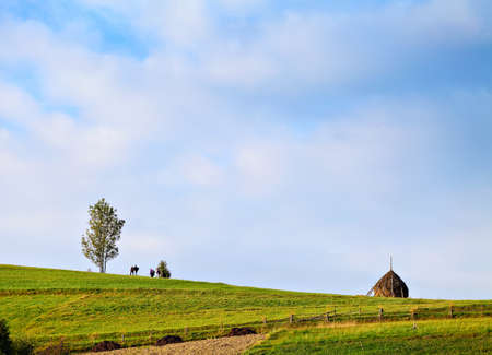 group of people walking on the green hill between a tree and haystack, blue sky on backgroundの写真素材