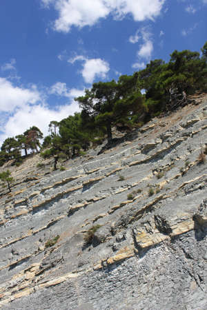 Pines on the top of the erosed rock under blue clouded sky.の写真素材