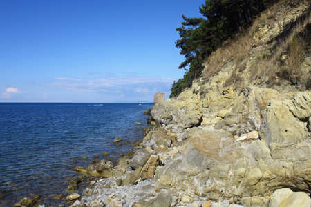 Stones on the sea coast の写真素材