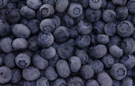Icy blueberry background macro shotの写真素材