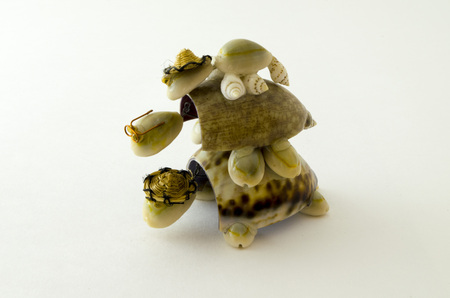 Figurine turtle. Turtle on a walk with the familyの写真素材