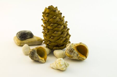 Pine cones hit the beach. Now you need to hide among the rocks.