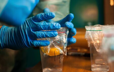 Chicken yolk in a transparent cup.