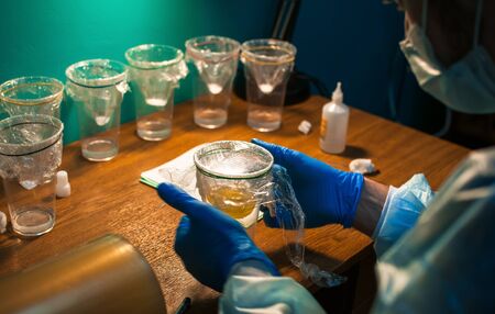 A scientist in gloves prepares a chicken embryo in vitro.