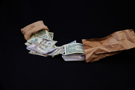 bag of moneyの写真素材