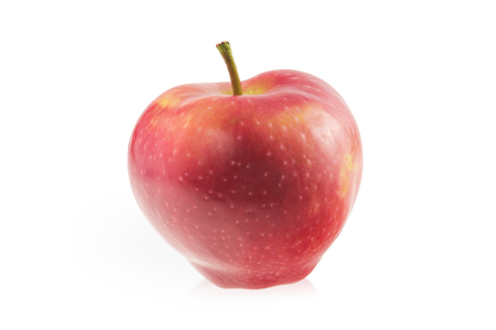 Red appleの写真素材