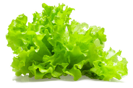 salad leavesの写真素材