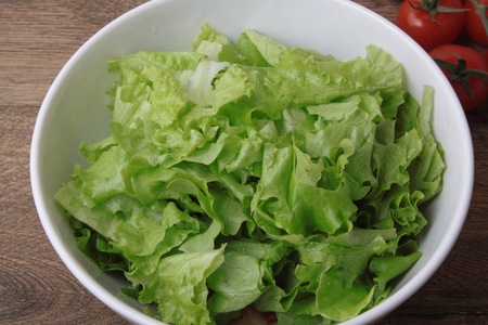 Fresh healthy lettuce saladの写真素材