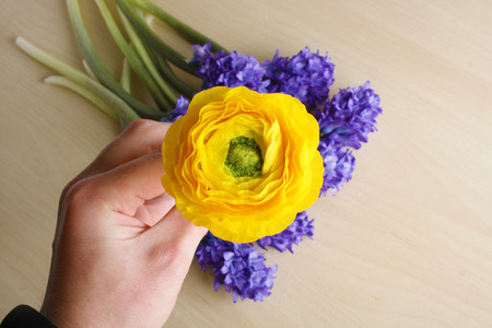 ranunculus yellow flowers backgroundの写真素材