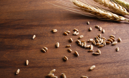 spikes on a wooden background grainsの写真素材