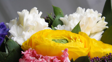 bouquet of hyacinth rannunculus tulip background