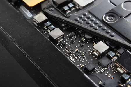 Microchips electronic components
