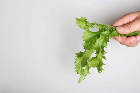 bouquet of salad in hand