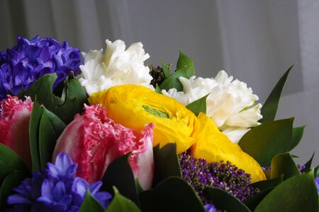 bouquet of hyacinth rannunculus tulip backgroundの写真素材