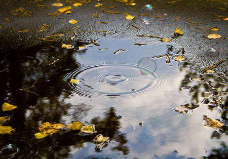 Photo of soap bubble under puddle.  Autumn, morning, cold.の写真素材