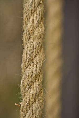 photo of two ropes. One rope lying in focus plane, other is very blurredの写真素材