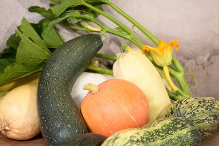 Vegetable marrows  pumpkins with flower and green leaves on a tableの写真素材
