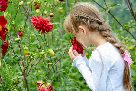 The girl in  garden holds a flowerの写真素材