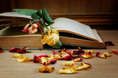 Dry rose and the old book on a tableの写真素材