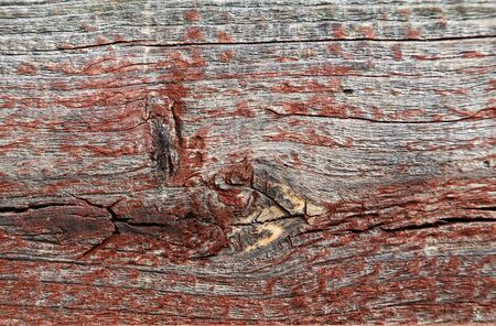 texture of the old boards with traces of paintの写真素材