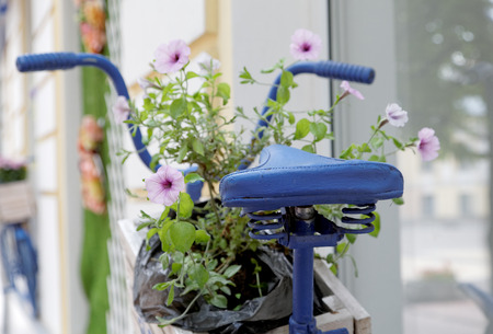 old bicycle with flowers box in summerの写真素材