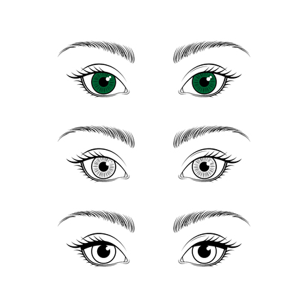 Female eyes and browsのイラスト素材