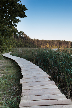 The wooden platform runs along the bank of the lakeの写真素材
