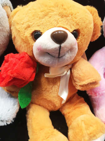 a teddy bear with a rose in the shop window on Valentine's day
