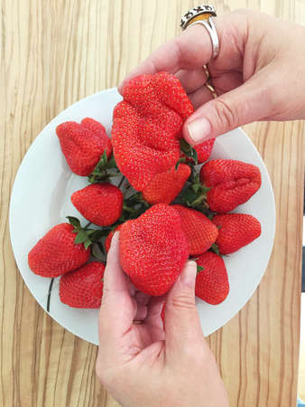 close-up outdoors in the summer hold in your hand one beautiful aromatic ripe strawberry,の写真素材