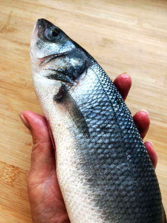 Hands holds raw fish over wooden background. Top view with copy space.