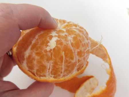 Closeup of hands of man peeling an organic tangerine on white background.の写真素材