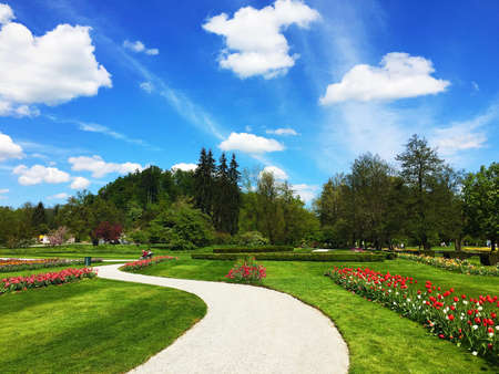 a beautiful path among the flowers in the spring park, tulips and blue sky.