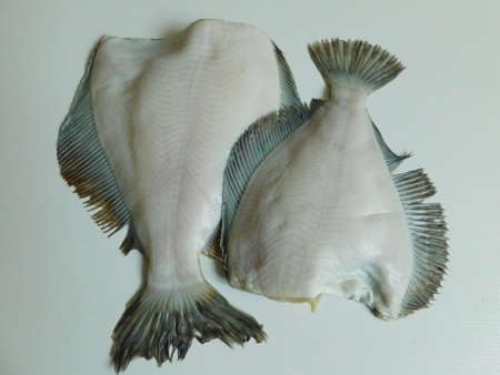 two fresh flounders, large and small, before cooking