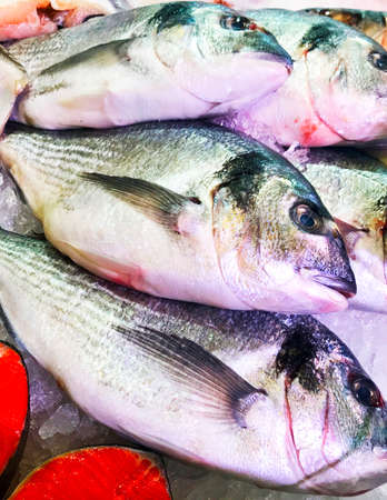 Fresh fish on the counter at a fish store