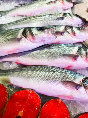Fresh fish on the counter at a fish store