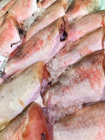 Fresh fish on the counter at a fish storeの写真素材