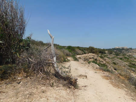 beautiful seascape Cape Kavo greco. Ayia Napa. Protaras. Cyprusの写真素材