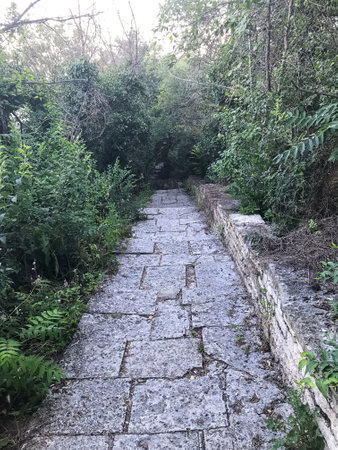 The path in the park is paved with stone. Decorative trail or road in the garden of cobblestones....