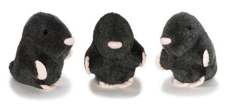 Trio Gentlemans in black velvet isolated toyの写真素材