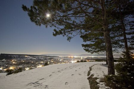 moon shining through the tree on a snowy hills with luminous background cityの写真素材