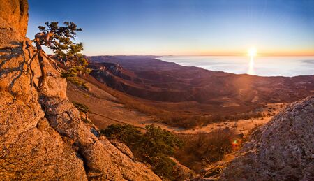 aerial view from mountains with tree of magnificent colored sunrise above the sea with forest on hillsの写真素材